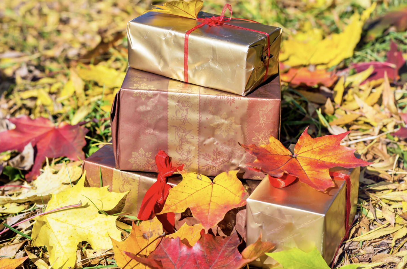 Cette image montre plusieurs cadeaux joliment emball&eacute;s dans des papiers dor&eacute;s et cuivr&eacute;s, pos&eacute;s sur un lit de feuilles mortes color&eacute;es. L&rsquo;ambiance &eacute;voque clairement l&rsquo;automne, avec ses tons chauds et naturels. Elle sugg&egrave;re une sc&egrave;ne de c&eacute;l&eacute;bration ou de remise de cadeaux saisonniers, comme une f&ecirc;te d&rsquo;entreprise, un &eacute;v&eacute;nement CSE ou une attention sp&eacute;ciale li&eacute;e &agrave; la rentr&eacute;e ou &agrave; l&rsquo;automne.