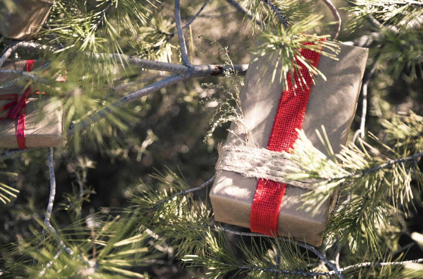 Cette image montre un coffret cadeau à l’aspect naturel, emballé dans du papier kraft avec un ruban en toile rouge et une ficelle en jute. Le paquet est délicatement placé dans les branches d’un sapin en pleine nature. L’ensemble évoque une approche écoresponsable des fêtes de fin d’année, alliant esprit festif et respect de l’environnement, idéale pour une communication ou une campagne CSE axée sur les valeurs durables.