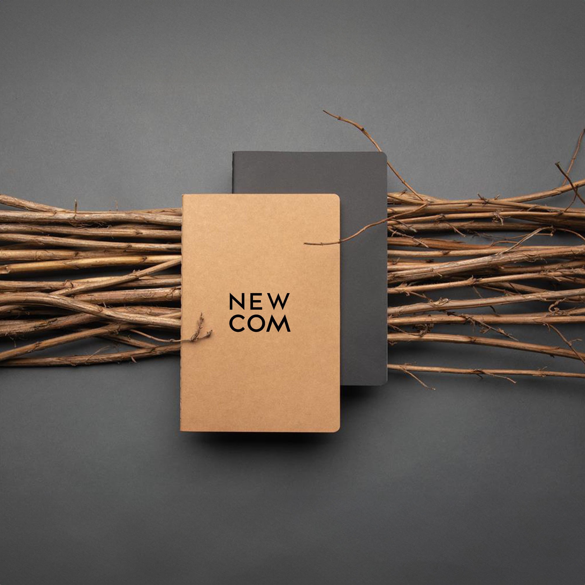 NEWC2300259_logo (2).jpg