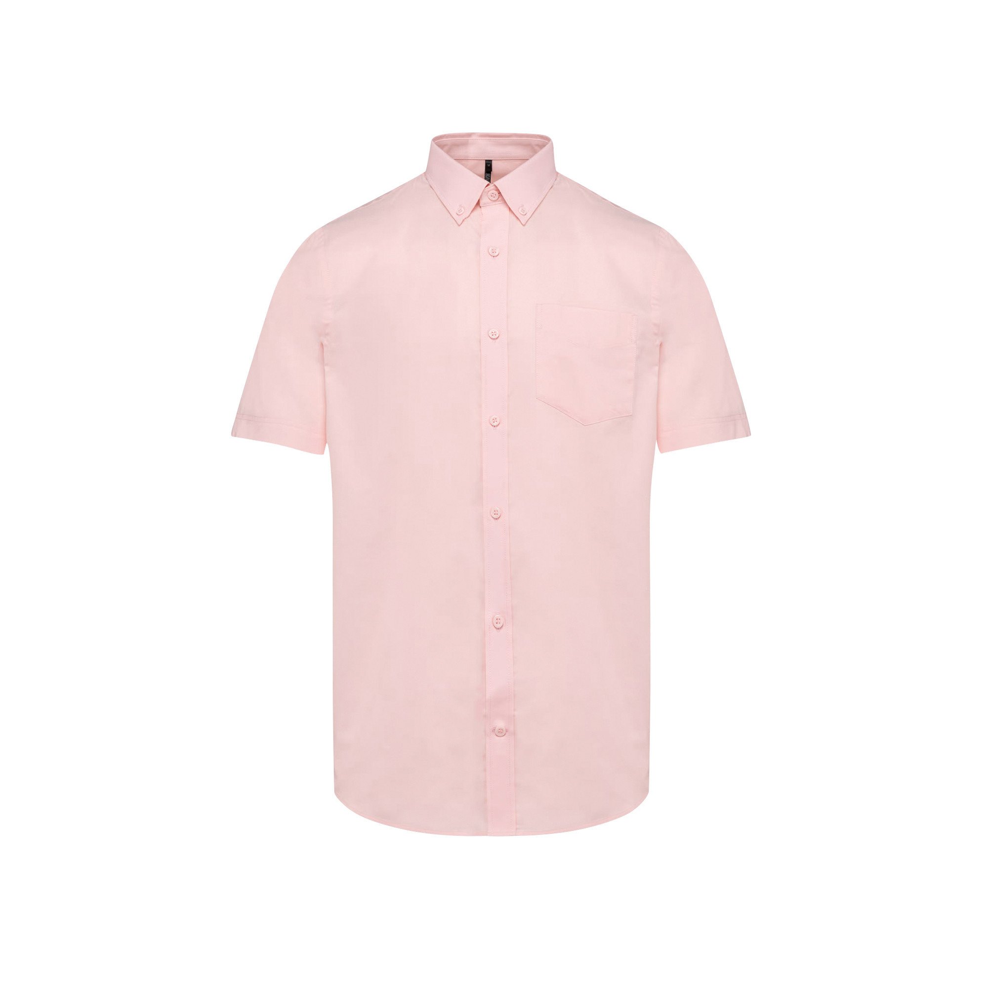 NEWC2000320_ ROSE PALE .jpg