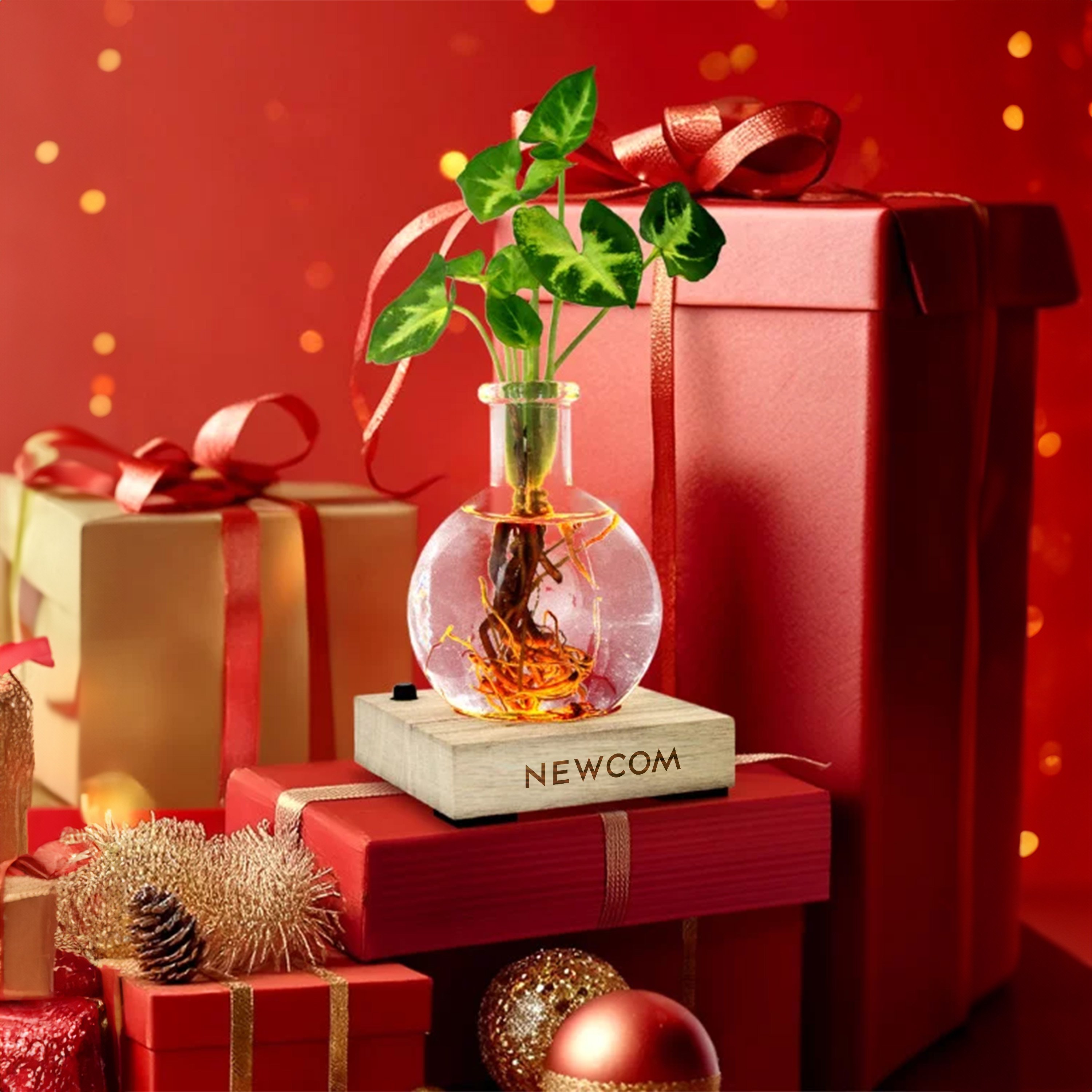 NEWC2500494 logo.jpg