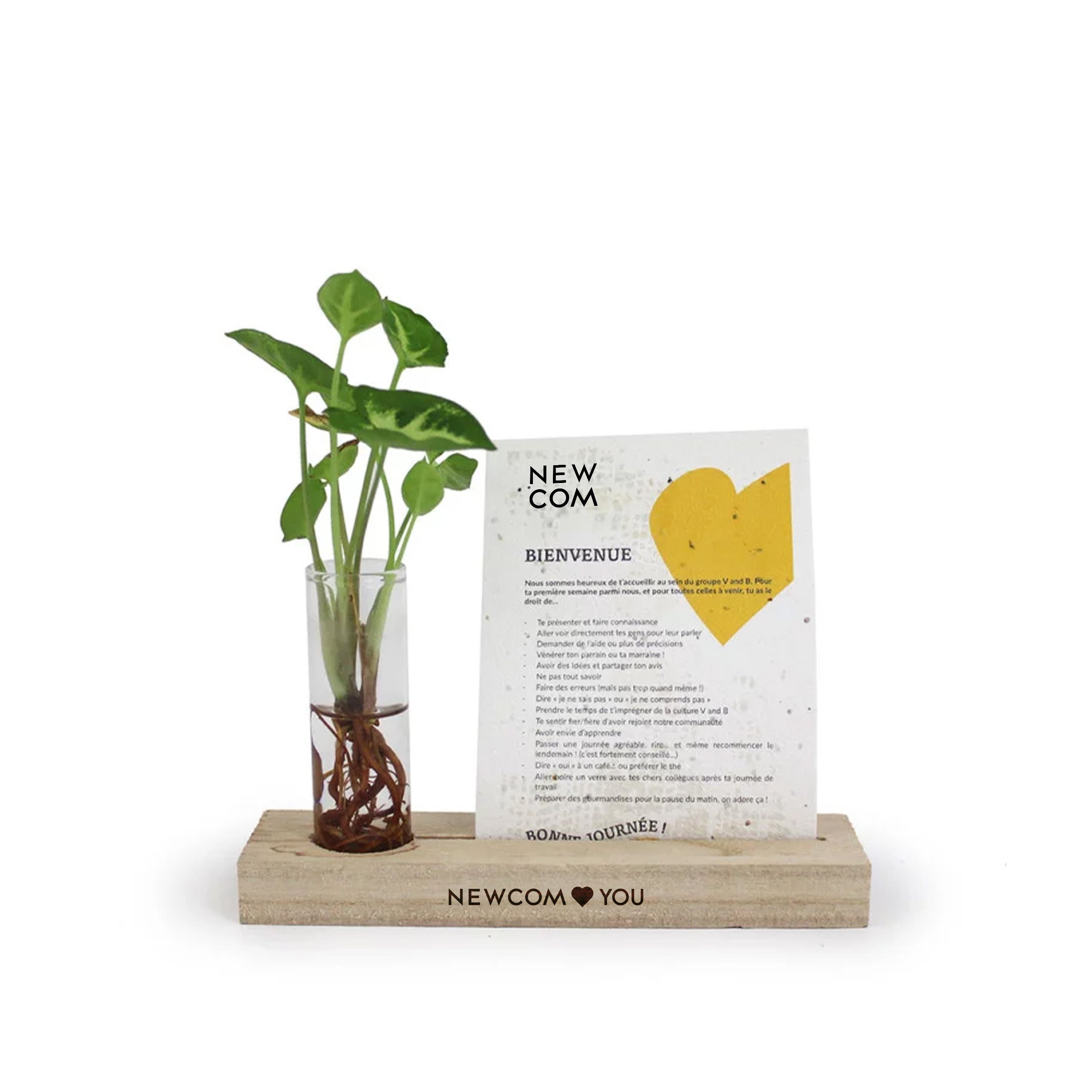 NEWC2500495 logo.jpg