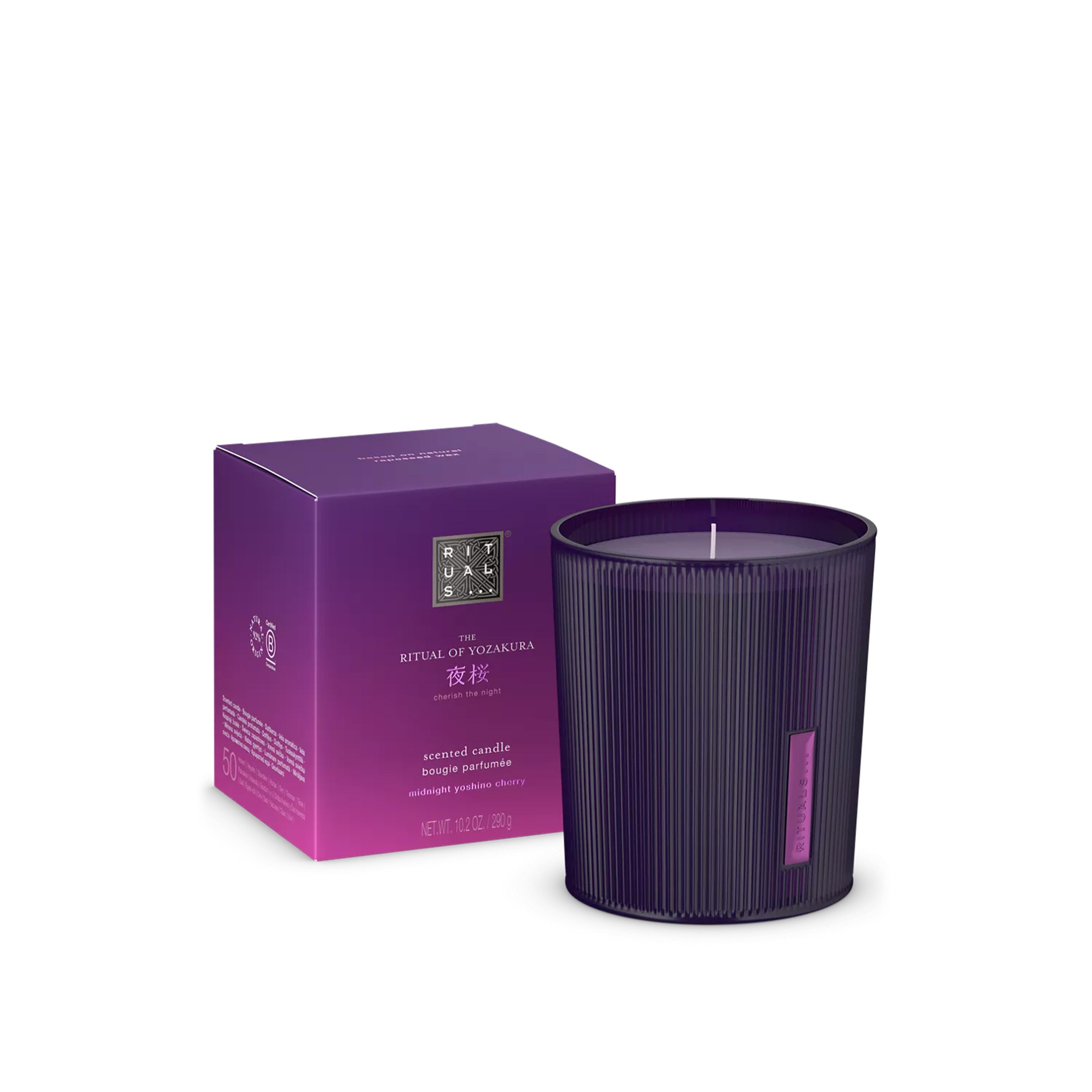Lot Bougies 4cm Diamètre 12 Bougies Cereria Di Giorgio Risthò - 4cm H7cm - Violet Poudre - 12h Bougies Longue Durée